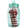Hallmark Christmas Activities Prompted Jar With 25 Candy-Cane Papers -Artisan Décor Shop 0001KCX1114