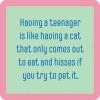 Teenager Cat Coaster 2 Teenager Cat Coaster -Artisan Décor Shop 1214teenager.cat 600x600 28976088 5544 4946 aaf4 eaa8e435e3a8