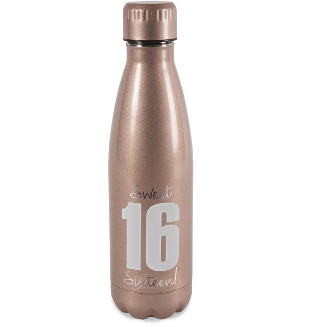 Sweet 16 Birthday Stainless Steel Water Bottle 18 Oz. 3 Sweet 16 Birthday Stainless Steel Water Bottle 18 Oz.