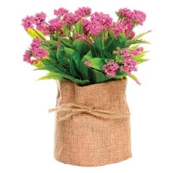 Dark Pink No Petal Flower In Burlap Bag