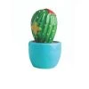 Nora Fleming Can't Touch This (Cactus) Mini -Artisan Décor Shop A266