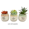 3" Free Spirit Faux Succulent In Ceramic Pot -Artisan Décor Shop Opportunities caa70884 6a1e 46f7 89f6 912a9c2eb7be
